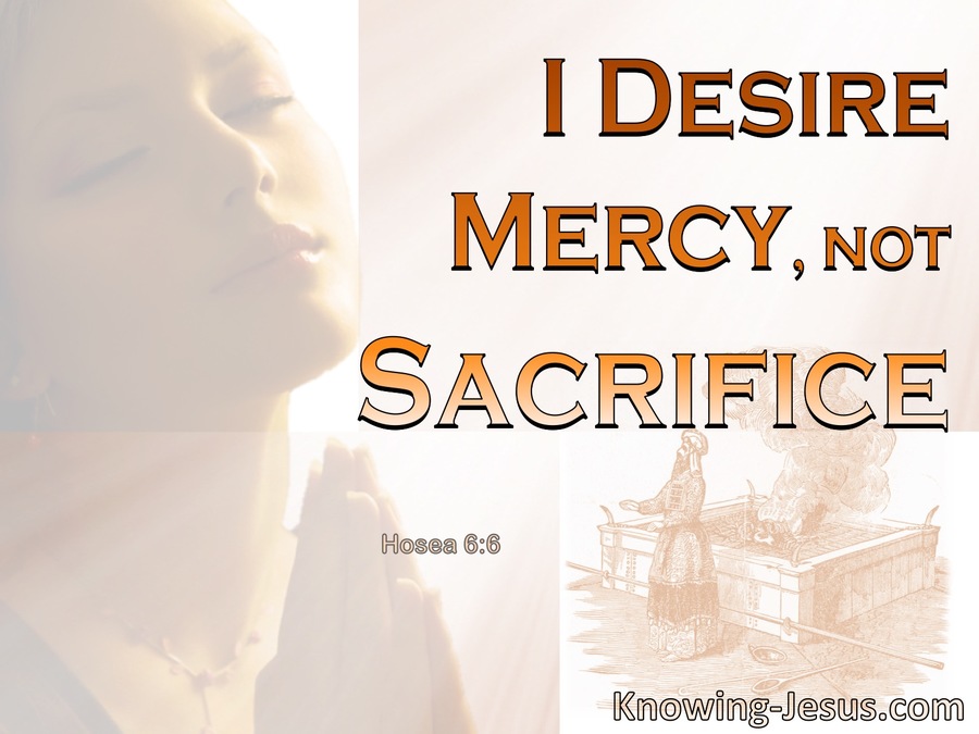 Hosea 6:6 God Desires Mercy Not Sacrifice (orange)